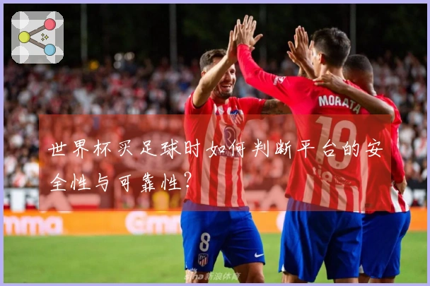 世界杯买足球时如何判断平台的安全性与可靠性？