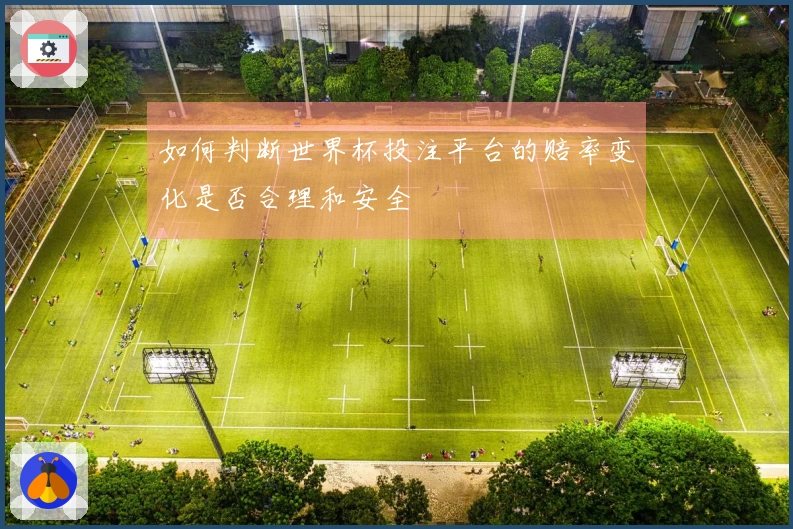 如何判断世界杯投注平台的赔率变化是否合理和安全