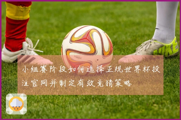 小组赛阶段如何选择正规世界杯投注官网并制定有效竞猜策略