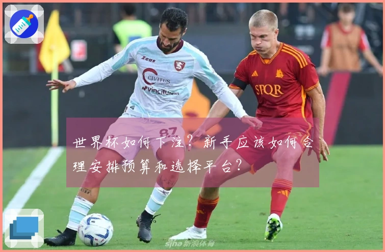 世界杯如何下注？新手应该如何合理安排预算和选择平台？