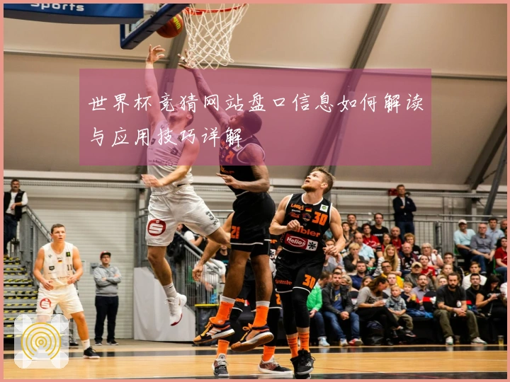 世界杯竞猜网站盘口信息如何解读与应用技巧详解