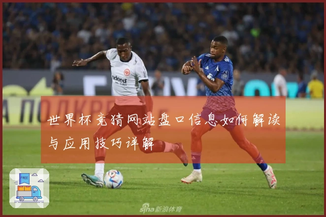 世界杯竞猜网站盘口信息如何解读与应用技巧详解