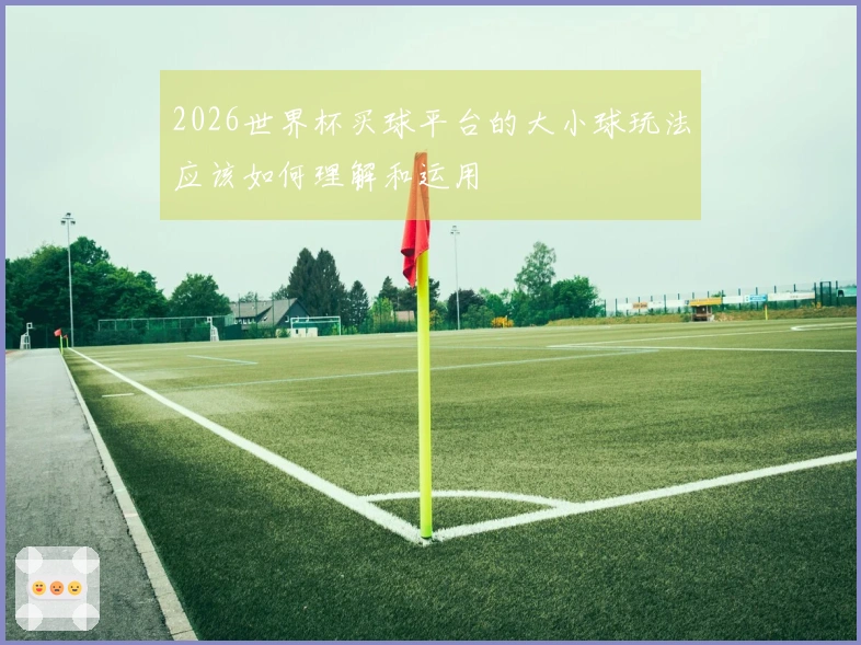 2026世界杯买球平台的大小球玩法应该如何理解和运用