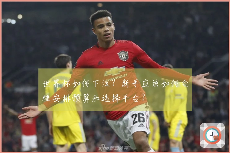 世界杯如何下注？新手应该如何合理安排预算和选择平台？