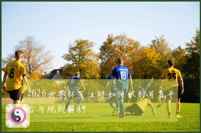 2026世界杯下注时如何识别可靠平台与规则解析