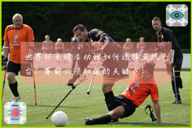 世界杯竞猜活动该如何选择正规平台？赛前必须知道的关键点！