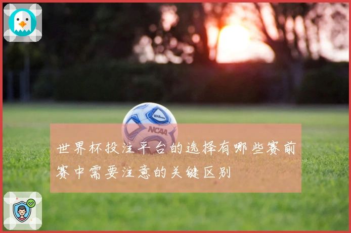 世界杯投注平台的选择有哪些赛前赛中需要注意的关键区别