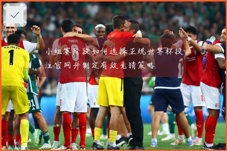 小组赛阶段如何选择正规世界杯投注官网并制定有效竞猜策略